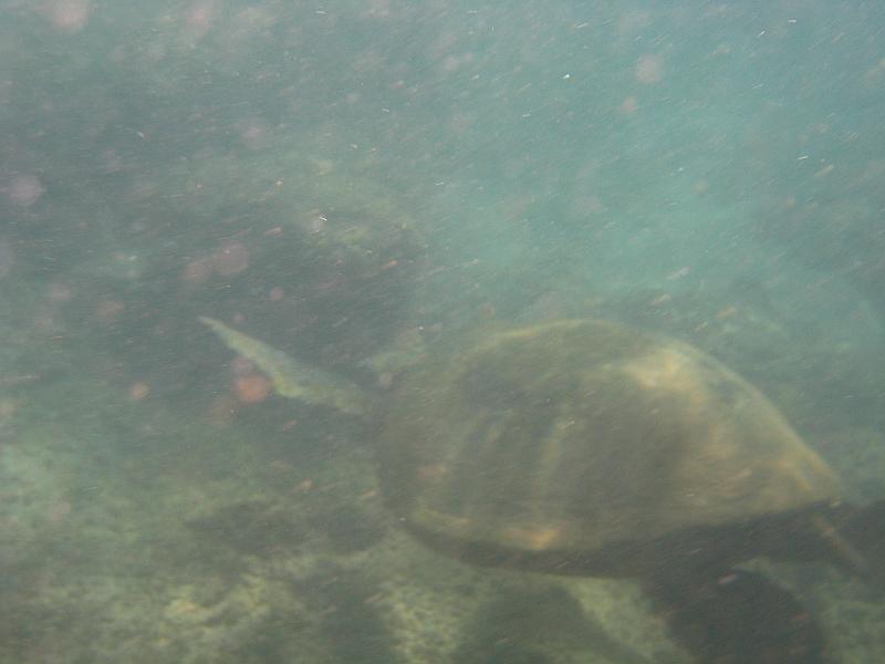 Picture 094